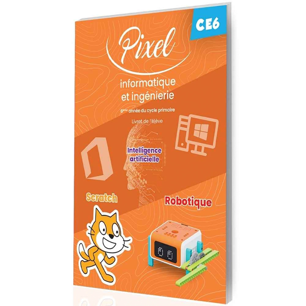 PIXEL INFORMATIQUE ET INGENIERIE CE6